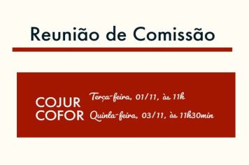 Reunião das Comissões