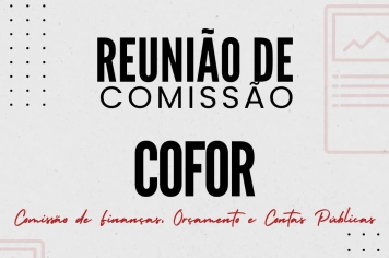 Reunião de Comissão
