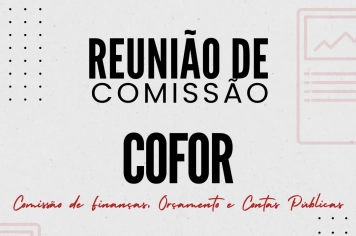 Reunião de Comissão