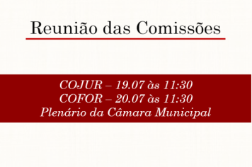Reunião das Comissões