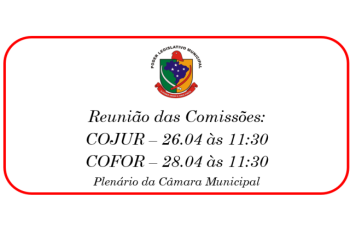 Reunião das Comissões
