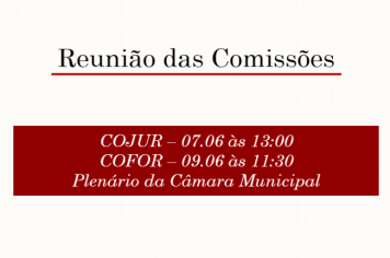 Reunião das Comissões