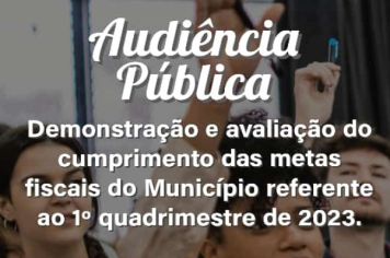 Audiência Pública