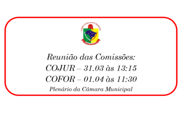 REUNIÃO DAS COMISSÕES