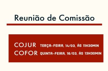Reunião de Comissão