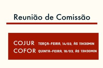 Reunião de Comissão