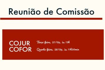 Reunião das Comissões