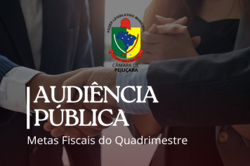 Audiência Pública