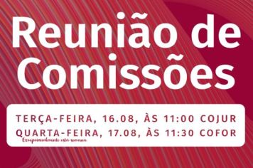REUNIÃO DAS COMISSÕES