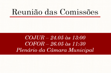 Reunião das Comissões