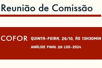 Reunião das Comissões