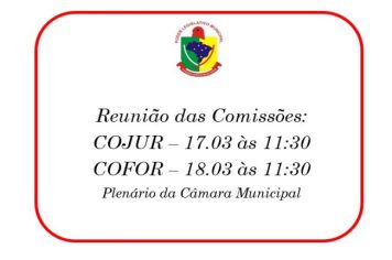Reunião das Comissões
