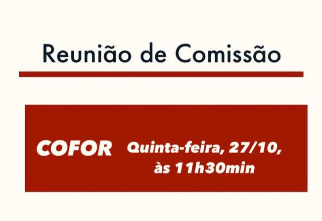 REUNIÃO DAS COMISSÕES