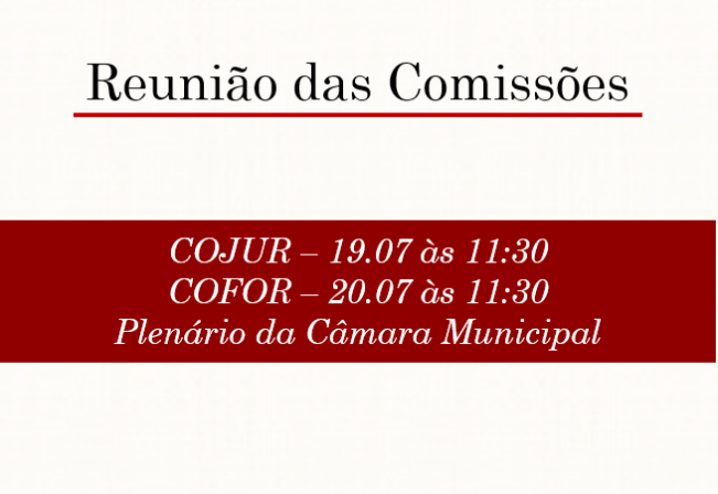 Reunião das Comissões