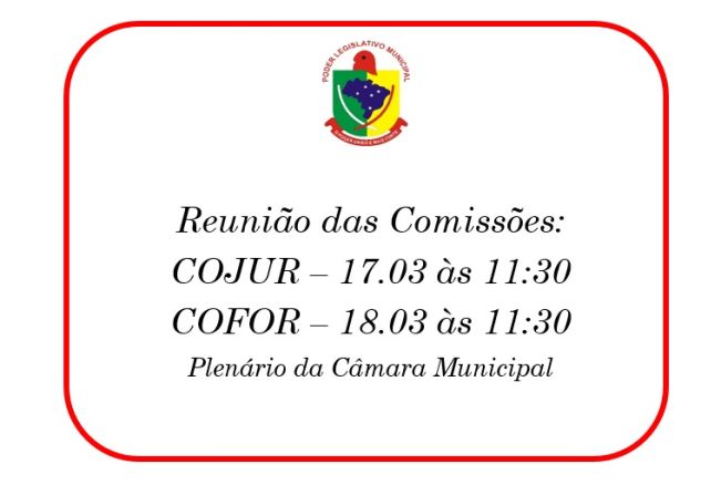 Reunião das Comissões